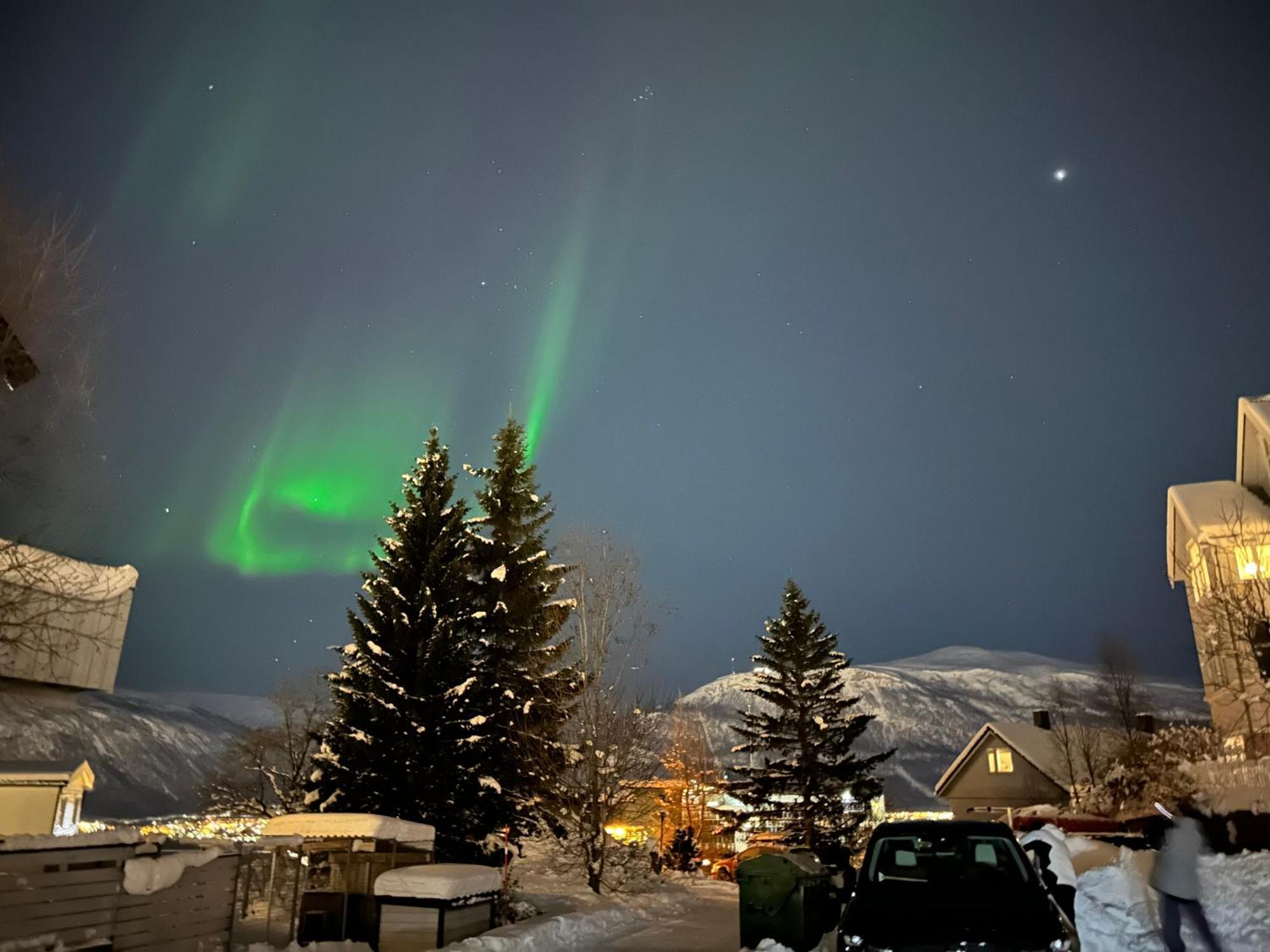 Arctic 3 Room Apartment - Aurora View - Free Parking Tromsø Esterno foto